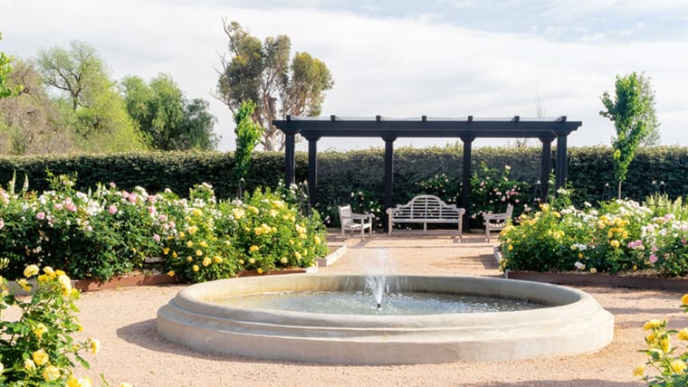 Open Garden of the historic homestead Noojea Lea